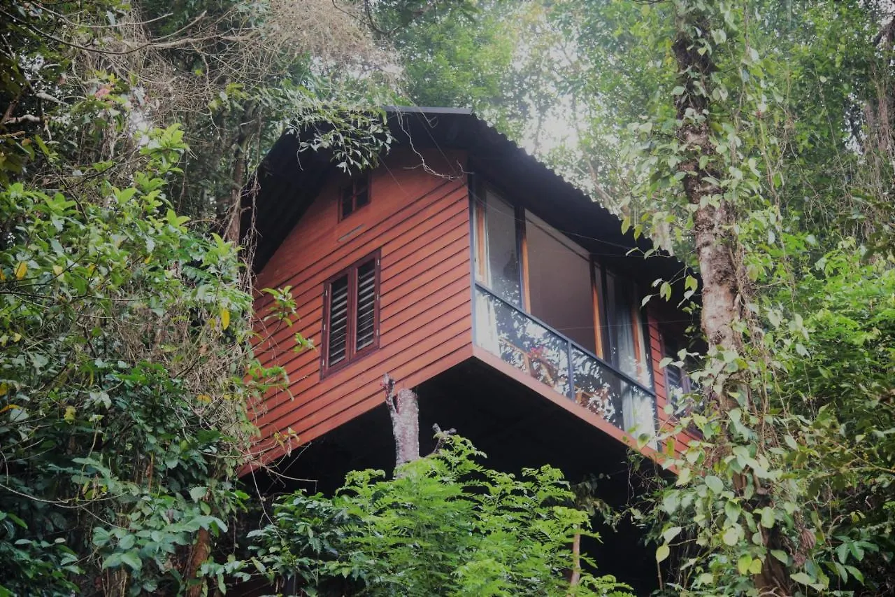 Tree6 Wayanad Villa Vythiri