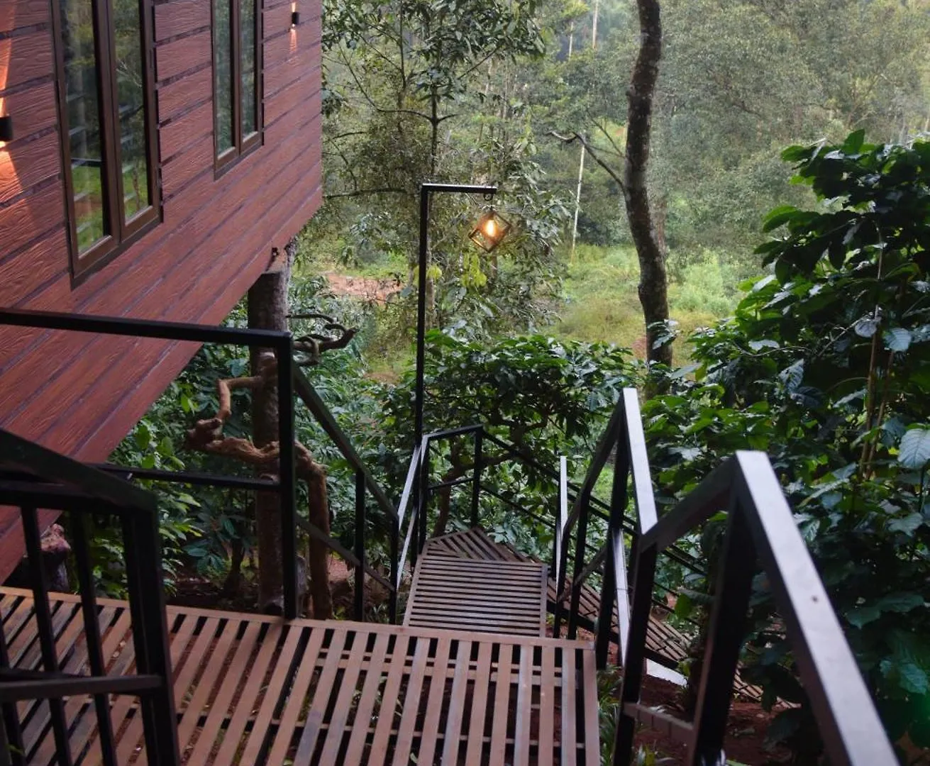 Tree6 Wayanad Villa Vythiri