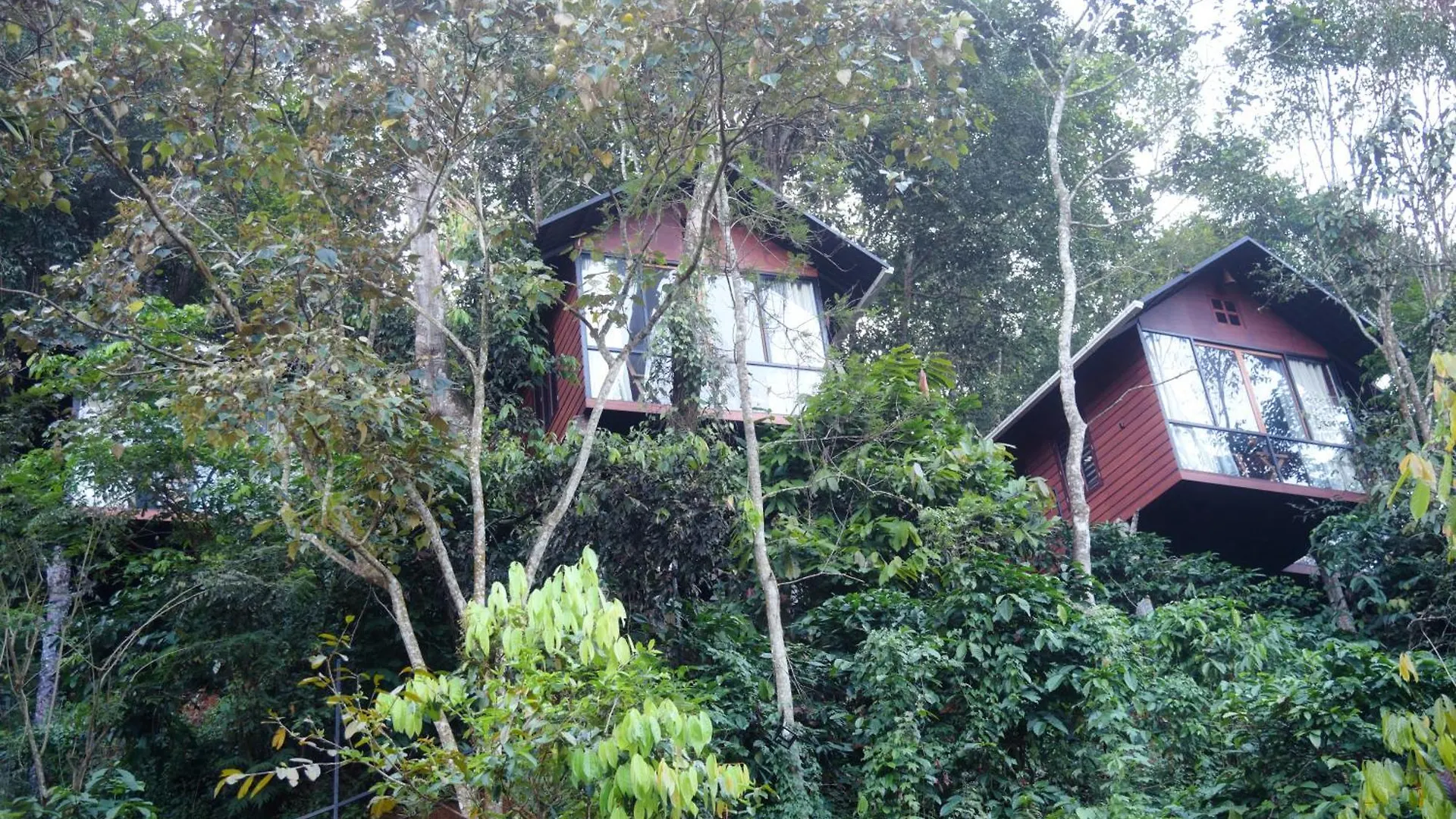 Tree6 Wayanad Villa Vythiri 0*,
