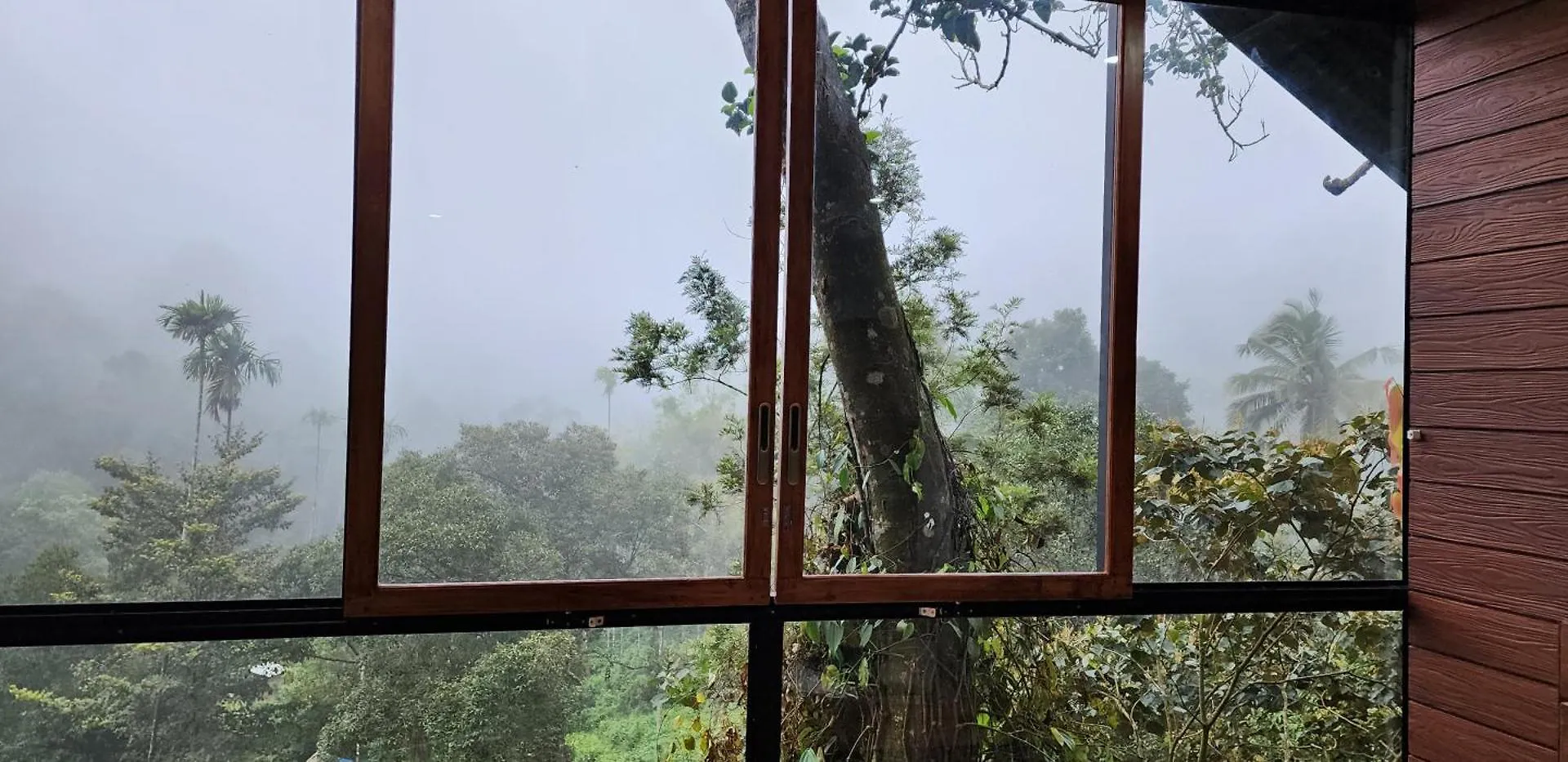 Tree6 Wayanad Villa Vythiri 0*,