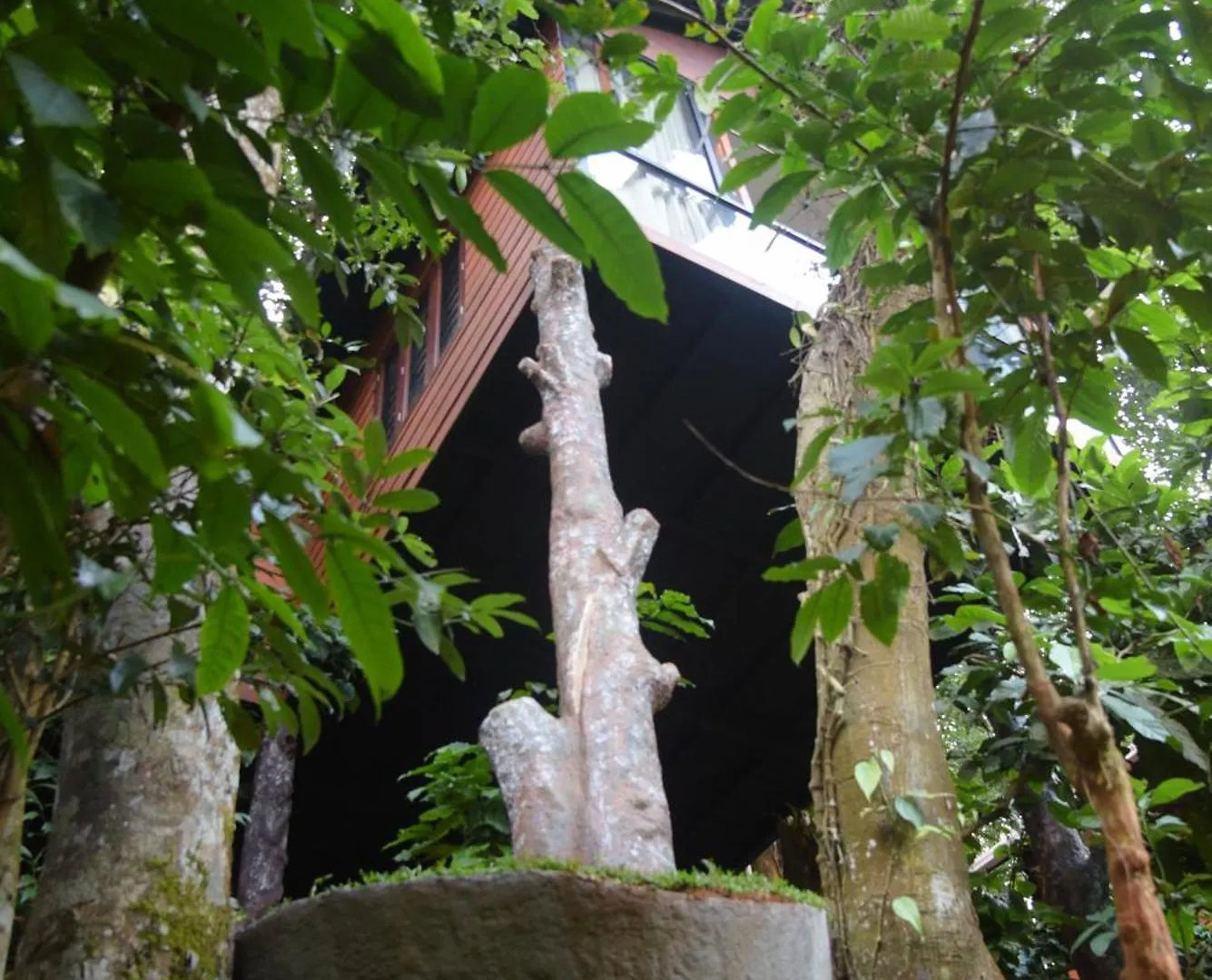 Tree6 Wayanad Villa Vythiri
