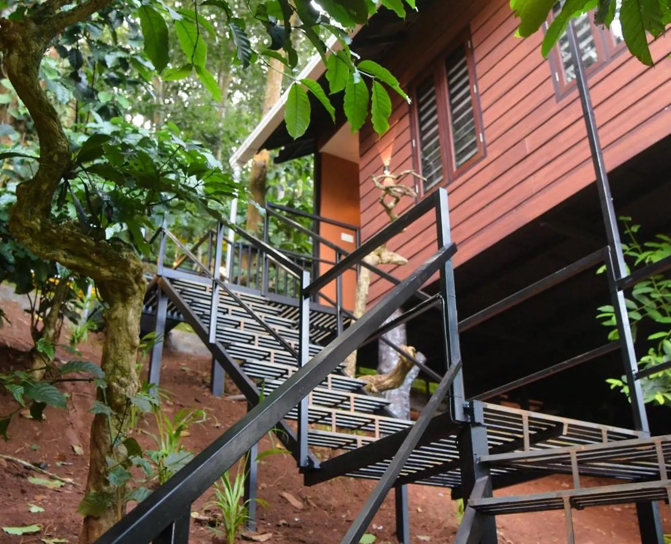 Tree6 Wayanad Villa Vythiri