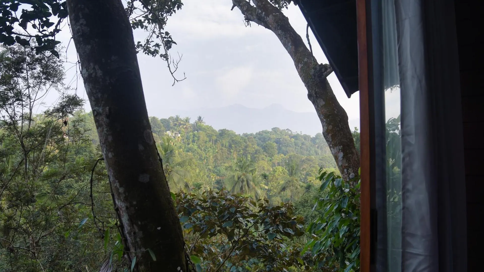 Tree6 Wayanad Villa Vythiri Indien