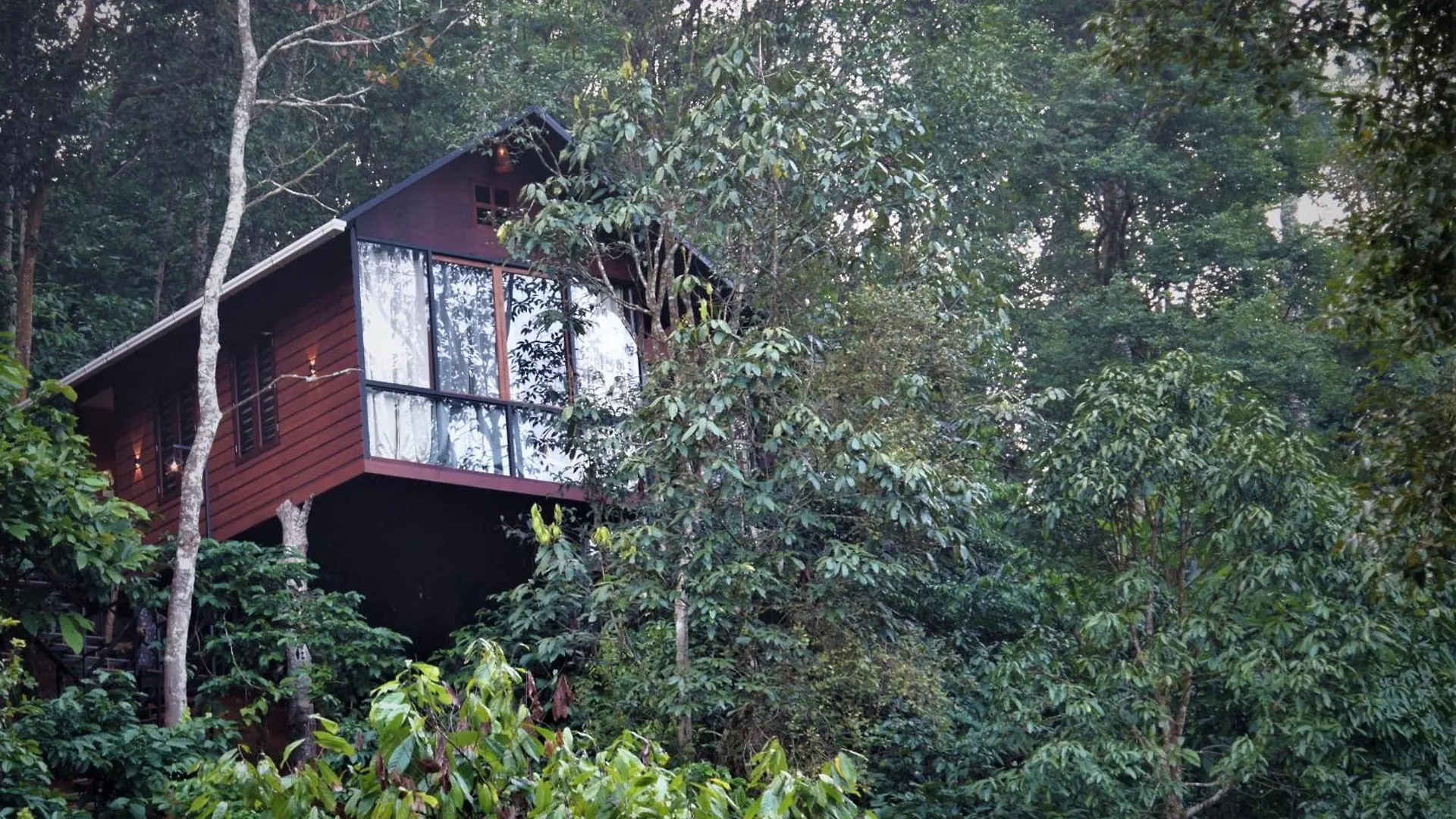 Tree6 Wayanad Villa Vythiri Indien