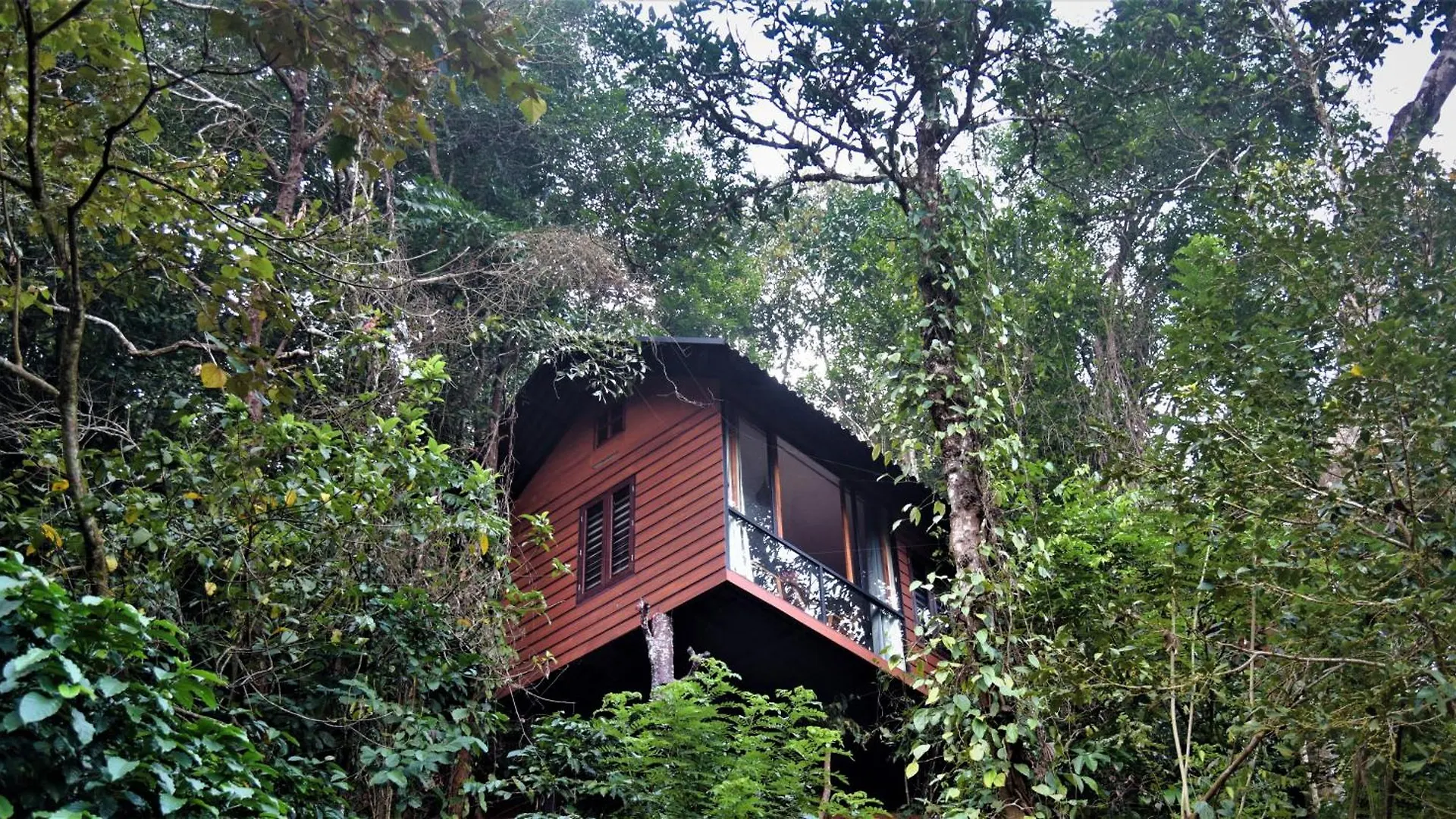 Tree6 Wayanad Villa Vythiri